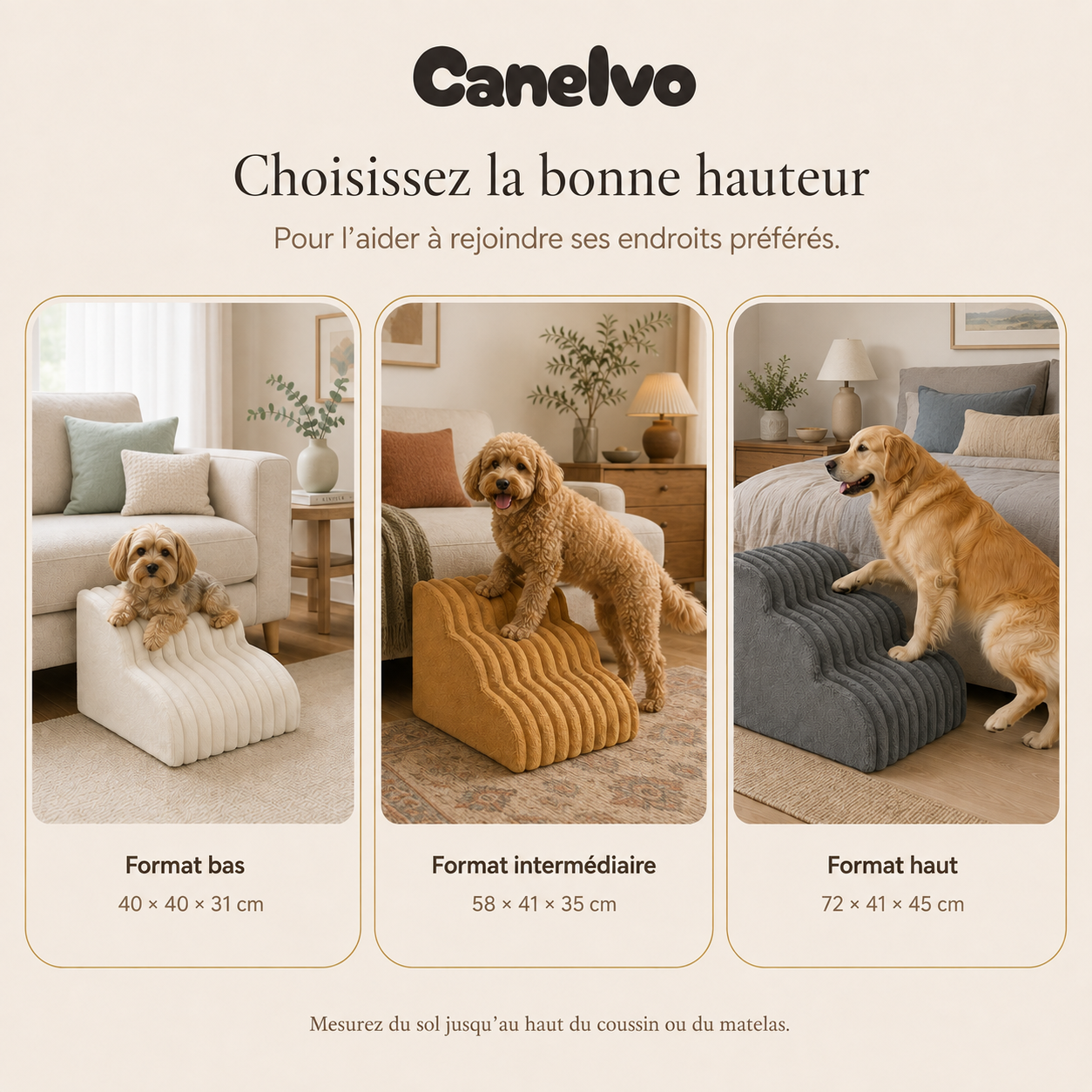 Canelvo l'escalier qui rapproche