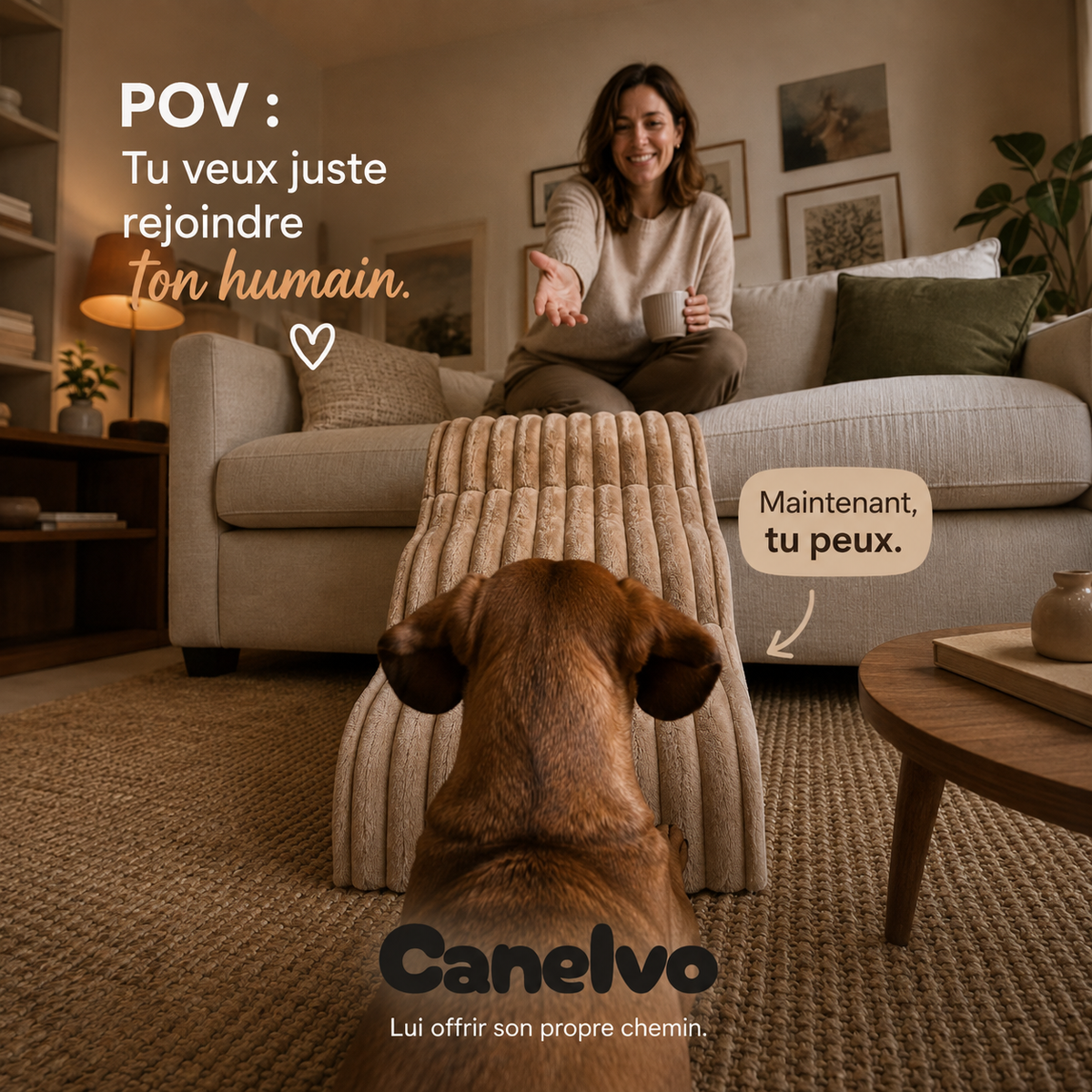 Canelvo — escalier rembourré pour aider le chien à accéder au canapé ou au lit