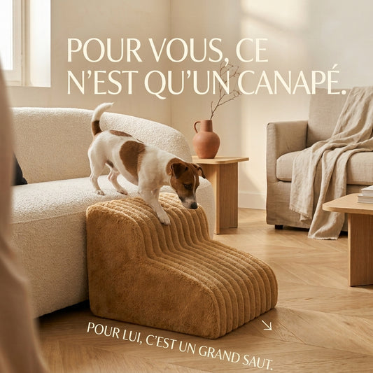 Canelvo l'escalier qui rapproche