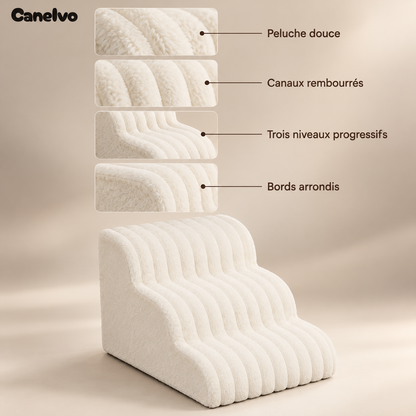 Canelvo the staircase that brings people closer