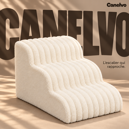 Canelvo the staircase that brings people closer