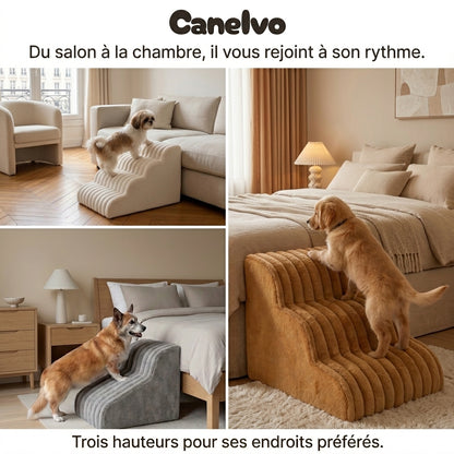 Canelvo l'escalier qui rapproche