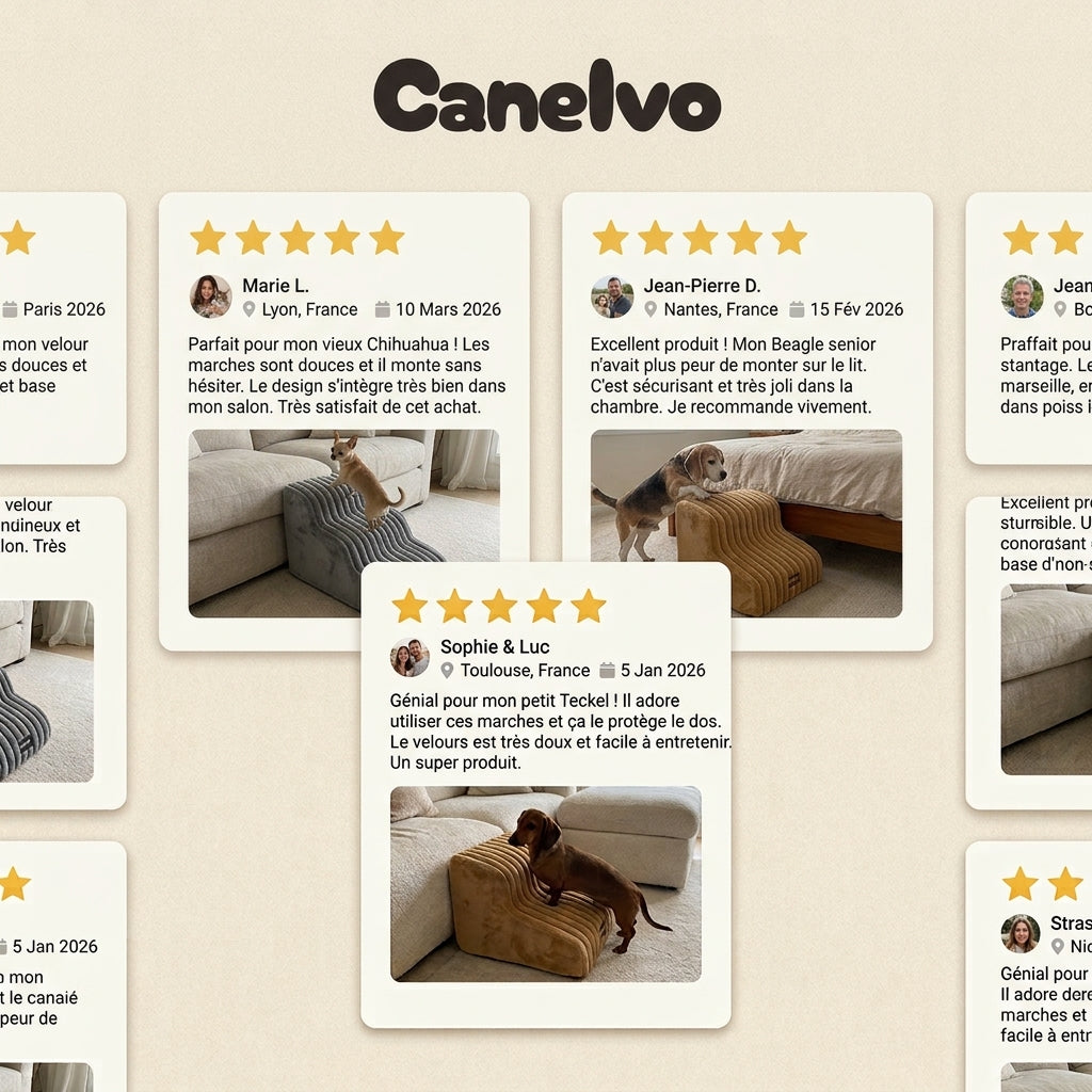 Canelvo l'escalier qui rapproche