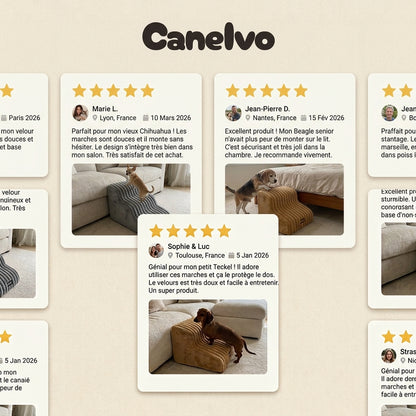 Canelvo l'escalier qui rapproche
